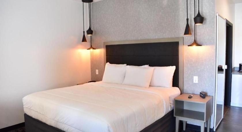 Hotel Bella Jersey Village Extérieur photo