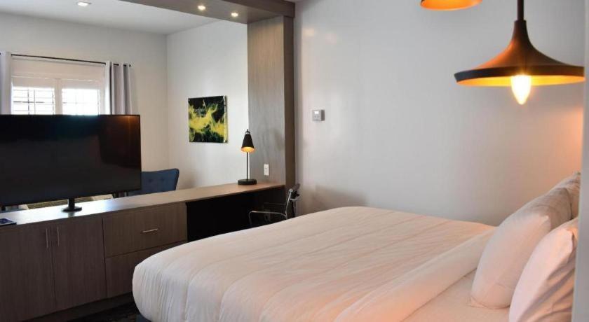 Hotel Bella Jersey Village Extérieur photo