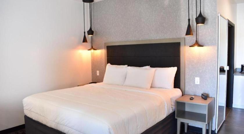 Hotel Bella Jersey Village Extérieur photo